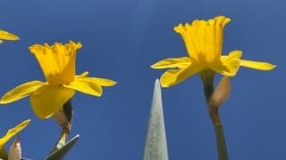 Strak blauwe lucht in Eindhoven 