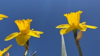 Strak blauwe lucht in Eindhoven 