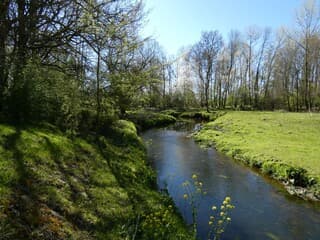 Natuur wordt steeds groener.