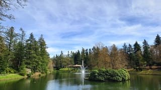 Zon met sluierbewolking 