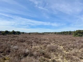 Lente in Drenthe 