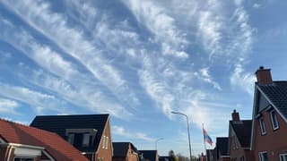 Windveren 