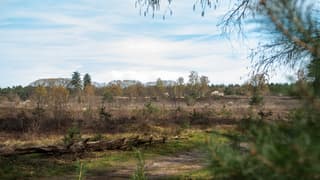 Lente in Leusden