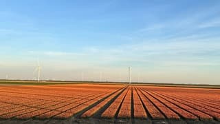 Oranje boven bij Ooltgensplaat 