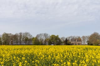Lenteweer in Laag Keppel
