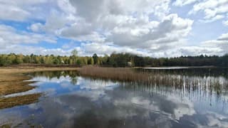 Over ene helft bomen zonlicht, weerspiegeling wolken