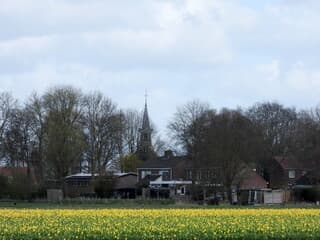 Vanuit het nieuwland
