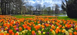 Zeg het met bloemen...