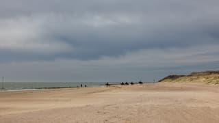 Paarden op strand Bewolkt en flinke wind op Vlieland