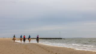 Paarden met bewolkt weer op het strand