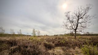 Balkbrug
