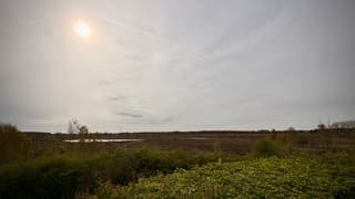 Veeningen