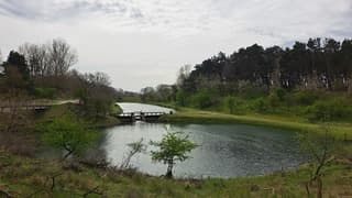 Veel bewolking 