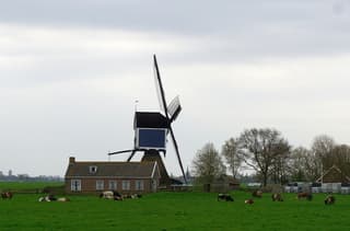 Bewolking