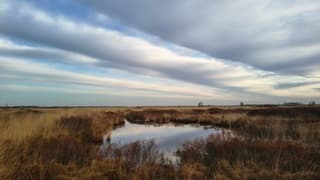 Wolken