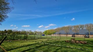 Zonnig lenteweer in Otterlo 