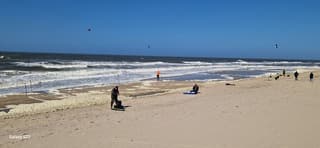 Zeevissen Schoorl