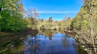 Zon en waterspiegeling 