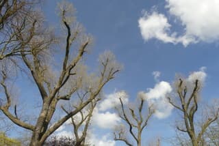 Prachtige lucht met witte dotten