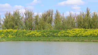 Heerlijk weer voor de hardloop Druten