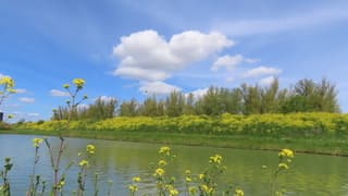 hartjes wolk boven de dijk met hardlopers.