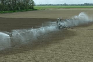 zeeuws-vlaanderen kampt met regentekort