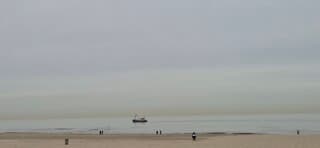 Mist, bijna windstil 