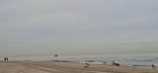 Mist , maar bijna windstil