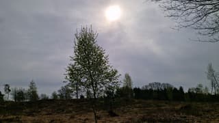 Waterig zonnetje boven Gelderland 