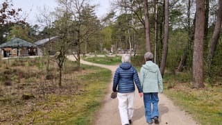 Wandelweer op de Veluwe 