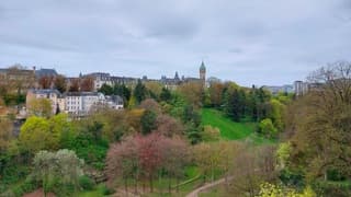 De motregen heeft het groen goed gedaan in Luxemburg