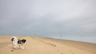 Vlakke zee en bewolkt op Vlieland
