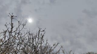 Waterig zonnetje vandaag