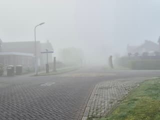 Kleine wereld om 8.00 uur