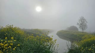 Knap mistig in de polder 