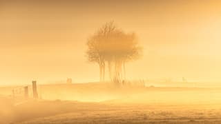 Magische mistige zonsopkomst 