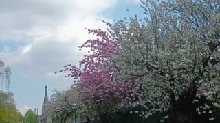 14 april 2026