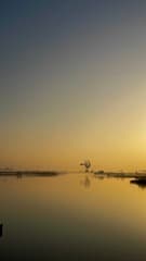 Zaanse Schans Zonsopgang