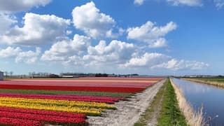 Hollandse luchten 