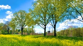 Amsterdam Buitenveldert