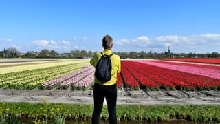 Toerist maakt foto van de fraaie bloembollenvelden