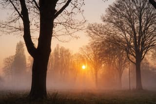 Dromerig mooie ochtend