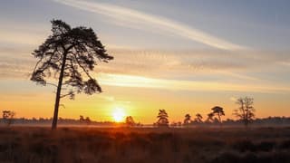 zonsopkomst Loonse en Drunense Duinen