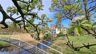 Bloeiende bloesem van fruitboom met doorkijkje kasteel 