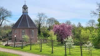 Zon en sluierbewolking 