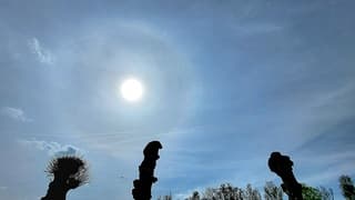 Halo