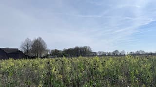 Sluierbewolking 