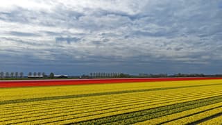 Dreigende lucht in namiddag