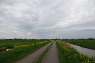Bovenkerkerpolder bij Amstelveen