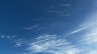 Pennenstreken bij zonsopkomst 